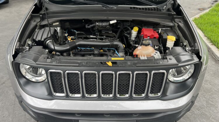 Renegade 1.8 Automática 2018/2019 Prata Flex Completa